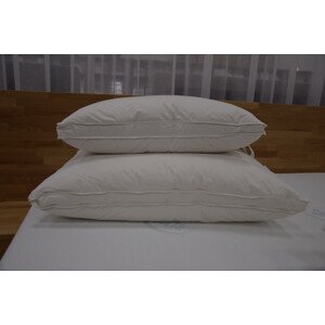 Polštář Dreamy Natura Pillow Prestige Velikost: 40x80,